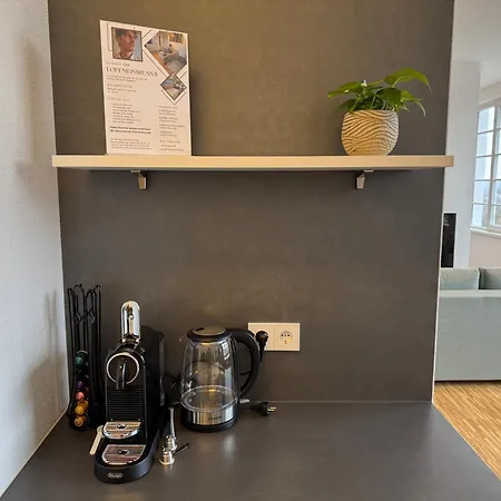 Loft Meinbrunn Ii Appartement